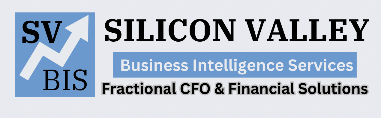 Silicon Valley Business Intelligence Services